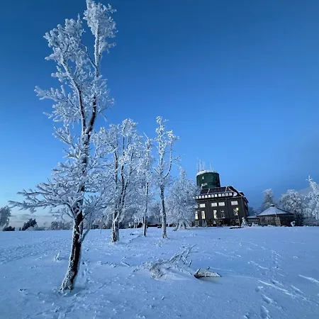 Апартаменты Brandenburger *