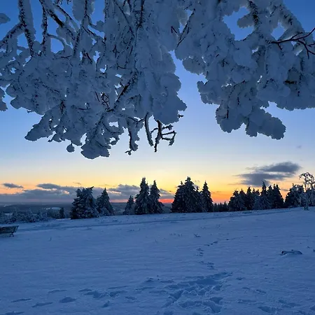 Brandenburger Апартаменты *