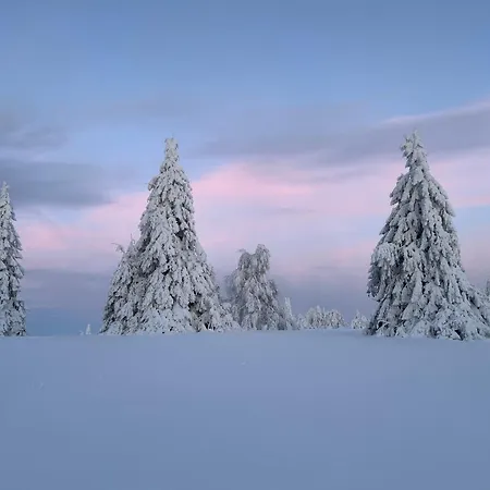 Brandenburger سشمالنبرغ