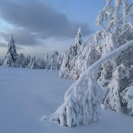 Brandenburger Апартаменты Шмалленберг