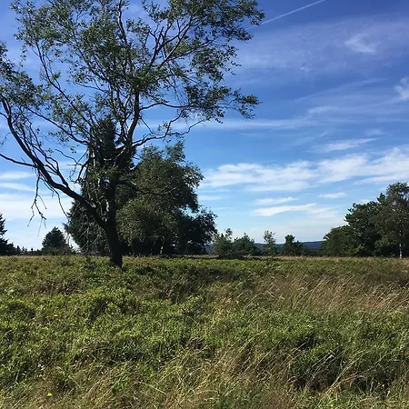 Brandenburger Apartment *