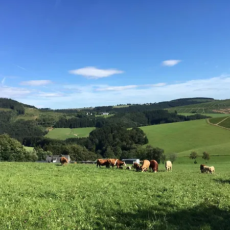 Brandenburger * سشمالنبرغ