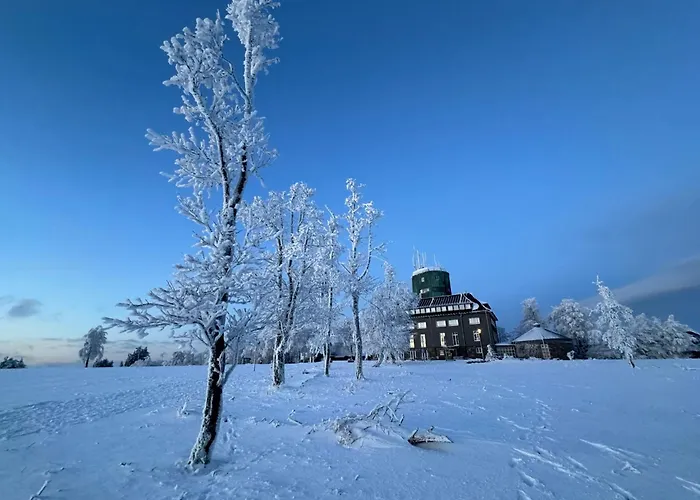 公寓 Brandenburger *