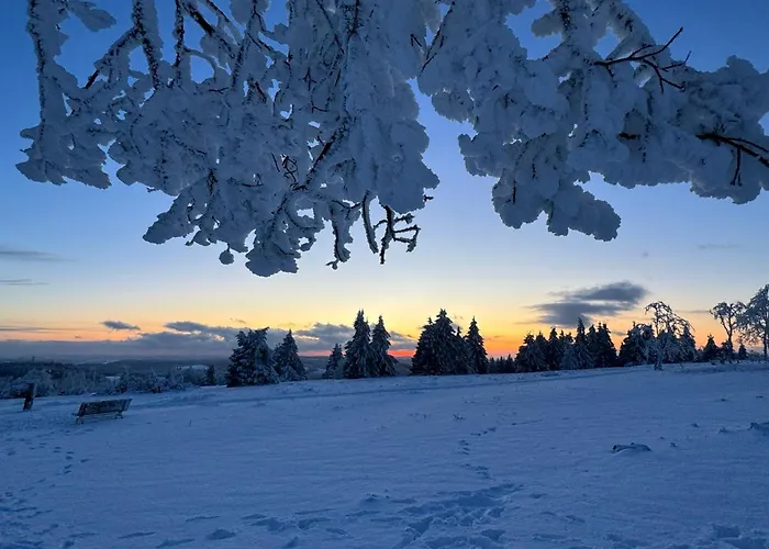 Brandenburger 公寓 *