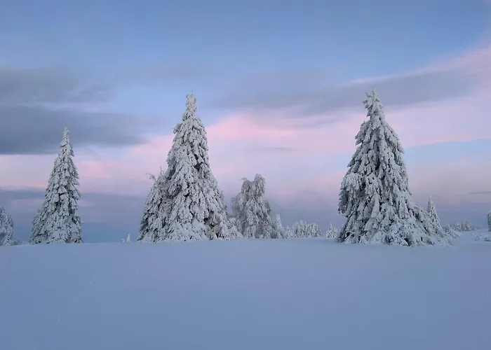 Brandenburger سشمالنبرغ