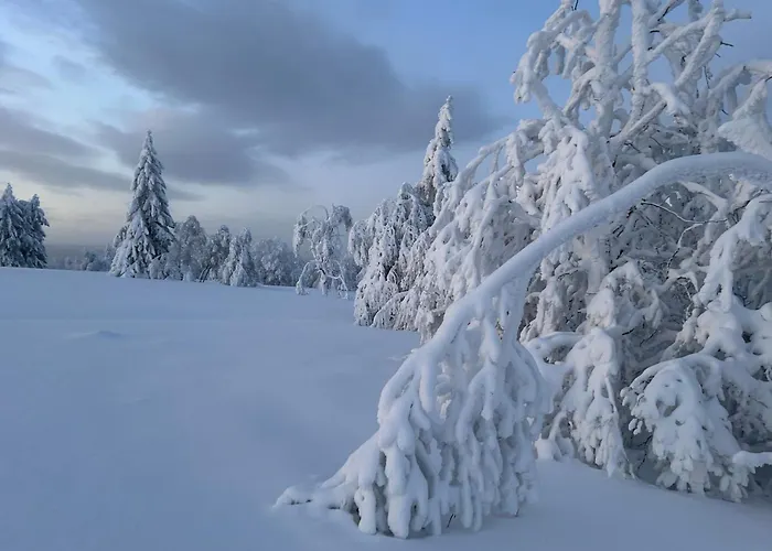 Brandenburger 公寓 施马伦贝格