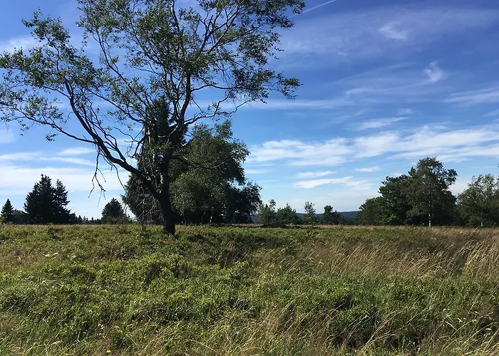 Brandenburger شقة *