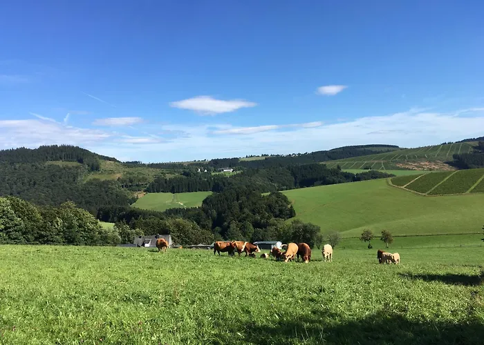 Brandenburger * 施马伦贝格