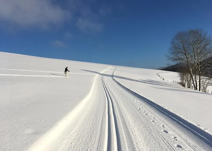 Brandenburger Lägenhet Schmallenberg